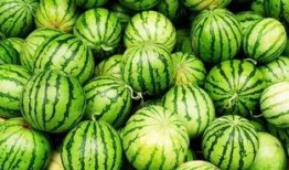 法考吃瓜,吃瓜群众揭秘法律职业资格考试背后的故事