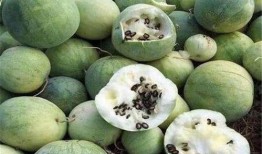 梦见口渴吃瓜,口渴吃瓜的神秘启示