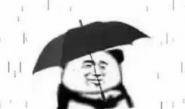 强行吃瓜,揭秘娱乐圈背后的那些事