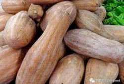 方瓜须子怎么吃