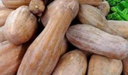 方瓜须子怎么吃