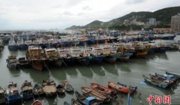 福建沿海吃瓜渔船,吃瓜渔船的悠闲生活画卷