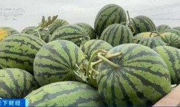 长垣吃瓜啥瓜,探寻“吃瓜啥瓜”的独特风味