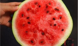 吃瓜勺子挖,揭秘娱乐圈背后的秘密与真相