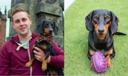 游戏吃瓜狗,揭秘游戏界的“瓜王”传奇