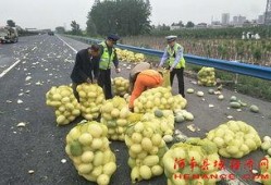 吃瓜群众萨日朗,揭秘吃瓜群众的趣味生活