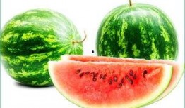 矮瓜胃炎可以吃吗,适宜与禁忌一览