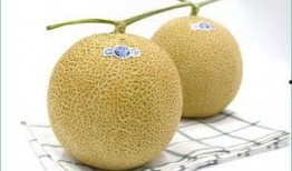 幼儿园宝宝吃哈密瓜,哈密瓜美食之旅