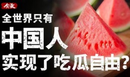 实现吃瓜自由了,畅享生活新境界