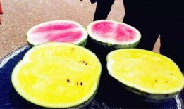 66吃瓜最新爆料,揭秘娱乐圈最新重磅爆料！