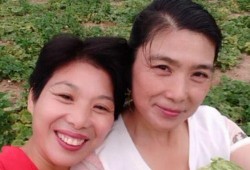 梦见和姐姐摘瓜吃,与姐姐共摘瓜果的甜蜜时光