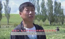 老王吃瓜缅北,揭秘缅北风云背后的故事