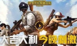 木林吃鸡瓜,探寻乡村美食的独特魅力