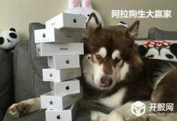 游戏吃瓜狗,揭秘游戏界的“瓜王”传奇