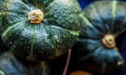 月关吃瓜,揭秘娱乐圈背后的那些事儿