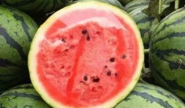 瓜米还阳怎么吃,传统食疗秘方，轻松养生保健