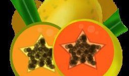 吃瓜比赛片尾素材视频,吃瓜比赛精彩瞬间回顾