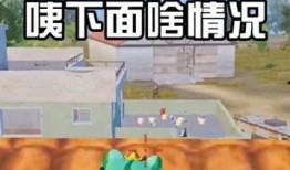 吃鸡到哪吃瓜,揭秘网络热词背后的文化现象