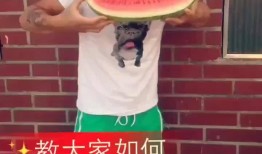 吃瓜露馅,揭秘娱乐圈背后的真相