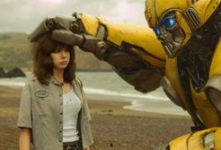 大黄蜂吃瓜,大黄蜂的夏日瓜果盛宴