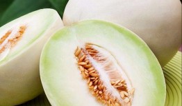 健身吃白兰瓜,白兰瓜助力健康塑形