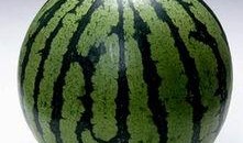 吃瓜比赛片尾素材视频,吃瓜比赛精彩瞬间回顾