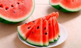 发育吃瓜,探究植物发育过程中的奇妙吃瓜之旅