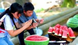 地里吃瓜去了,地里吃瓜去，享受田园生活乐趣