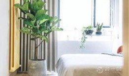 南宁装修吃瓜,吃瓜群众揭秘装修那些事儿