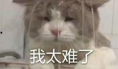 内娱吃瓜处,揭秘娱乐圈幕后风云