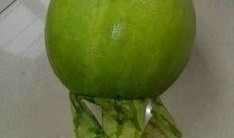 剥皮吃的水果瓜,探索水果瓜的独特美味