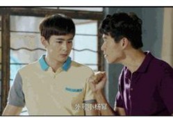 追星吃瓜记小说,从追星到吃瓜的奇幻旅程