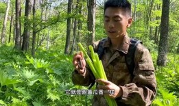 二达子吃瓜