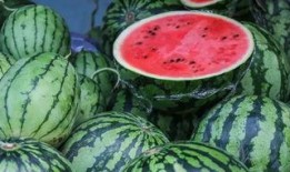 到底什么叫吃瓜,网络时代的围观文化解析