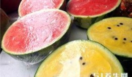 桃仔吃瓜,揭秘娱乐圈的甜蜜与苦涩