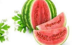 吃瓜网s,带你领略网络舆论新风向