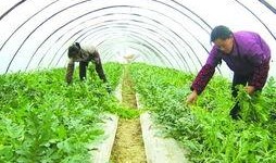 吃瓜互帮互助,共享快乐，共创和谐社区