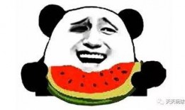 弗瓜怎么吃,探索美味新境界