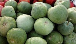 可以直接吃的瓜绿色,探索可直接食用的瓜类美味之旅