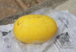 云南瑞丽吃瓜缅北,缅北风情尽享