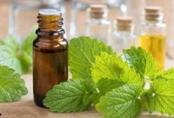 维尔汀吃瓜,揭秘娱乐圈幕后故事