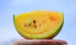 小jc吃瓜,揭秘娱乐圈那些不为人知的幕后故事