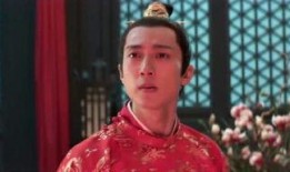 电视剧吃瓜描述,揭秘娱乐圈背后的秘密与真相