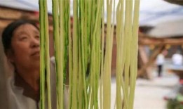 围场吃瓜,瓜果飘香，尽享田园生活盛宴