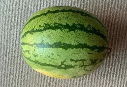 全球吃瓜落,揭秘各国美食文化盛宴