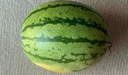 全球吃瓜落,揭秘各国美食文化盛宴