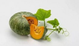 女子吃整个瓜,女子独吞整个西瓜的奇妙体验