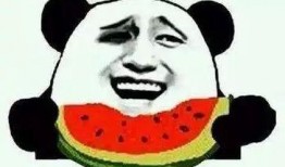 企鹅降临吃瓜群众,吃瓜群众见证神秘生物降临