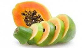 吃瓜号66,带你领略网络世界的趣味与真相