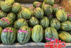 吃大瓜视频全集,揭秘娱乐圈幕后真相，全集大揭秘